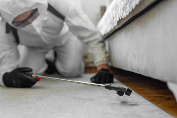 Professional Termite Control technician working in Montezuma, IA